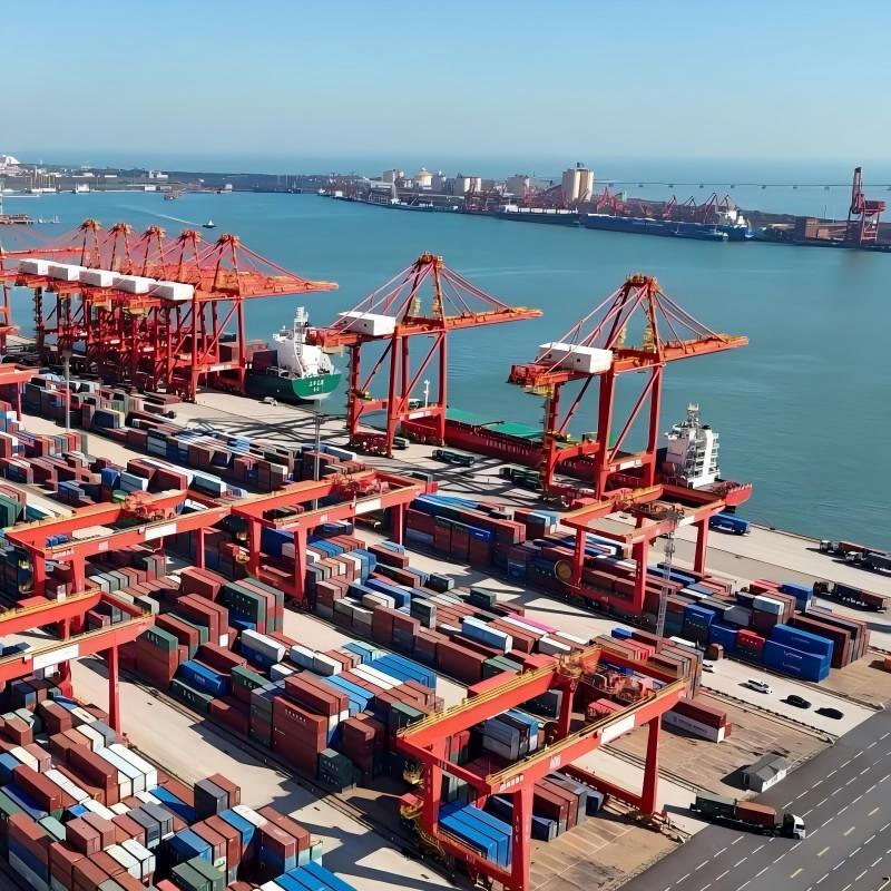 Port conveyor belt system for bulk cargo and container handling