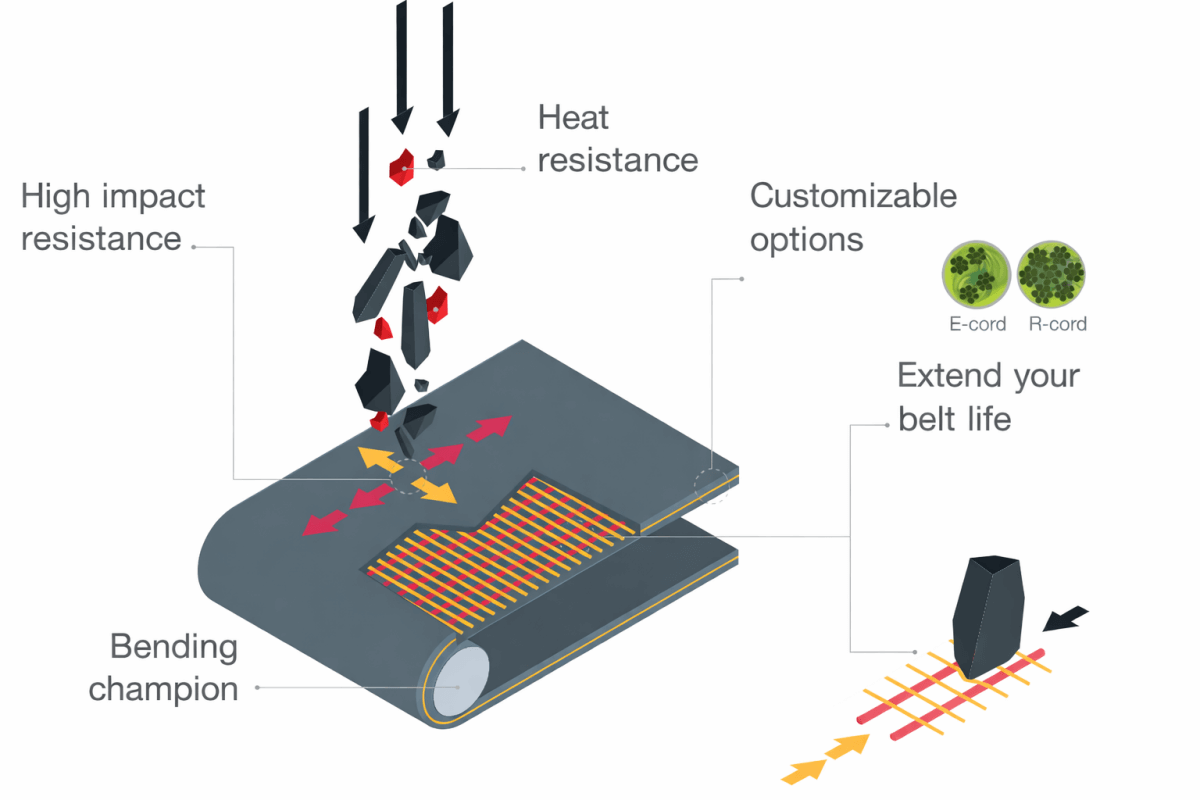 SW IW solid woven conveyor belt structure showing high impact resistance and heat resistance